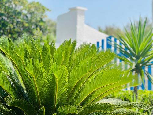 Torre Chianca Villa | Casa Loca del mar