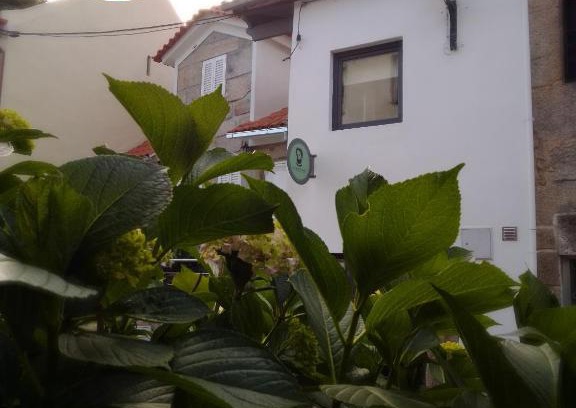 Santar House | Casa Luís de Camões - Boutique & Literary House