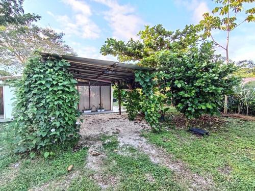 Lepanto House | Casa Mares