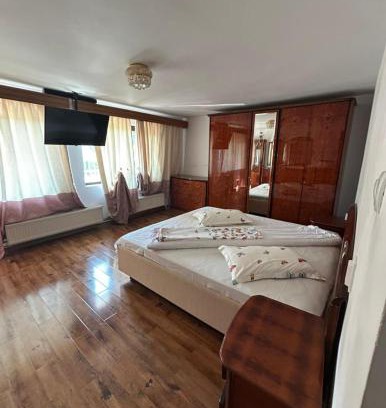 Curtea De Arges Apartment | Casa Mihai