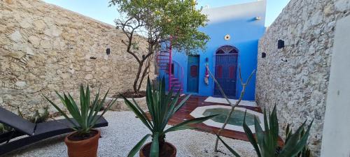 Zona Centro House | Casa Nicté, hospédate en una casa del siglo XVIII