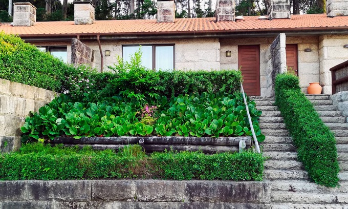 Canicada House | Casa Nogueira - Minho's Guest