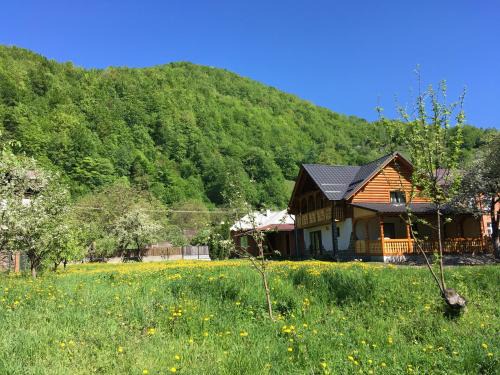 Viseu de Sus House | Casa Nova
