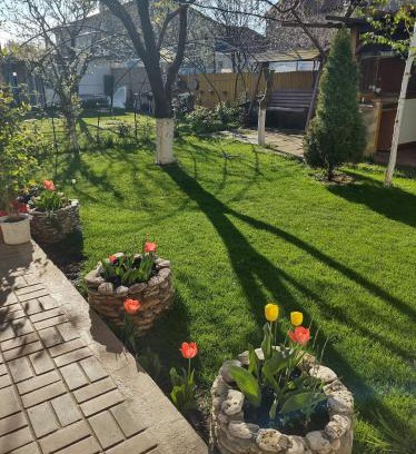 2 Mai House | casa Olga 2 Mai