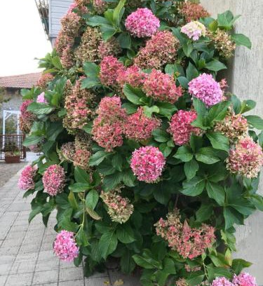Chiusi della Verna House | Casa Ortensia