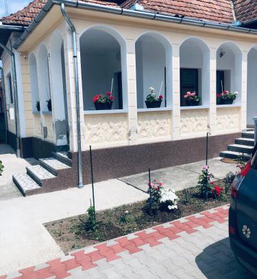 Ocna Mures House | Casa Petrutiu1