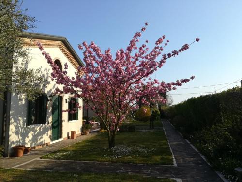 Ghetto Case Gottardo House | Casa Pianta