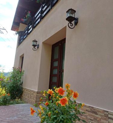 Novaci House | Casa Radu