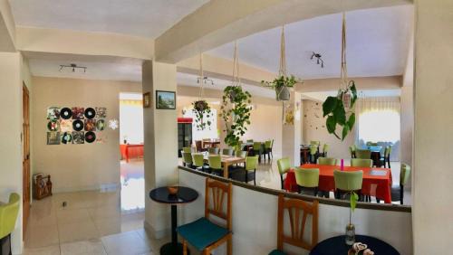 Baile Felix House | Casa Roua