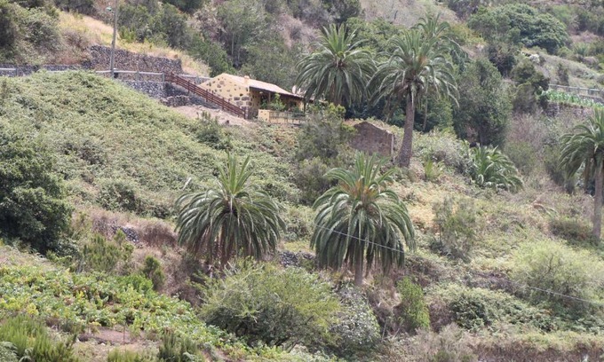 Agulo House | Casa Rural El Rincón de Antonia