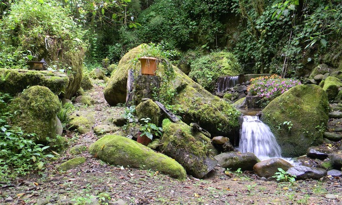 Copey Bed & Breakfast | Casa San Rafael del Pedregoso
