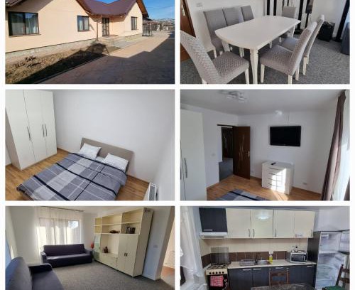 Letea Veche House | Casa Sava