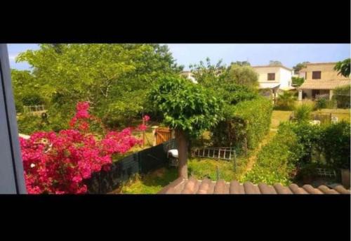 Poggio-Mezzana House | Casa Serena avec accès direct mer, jardin et barbecue