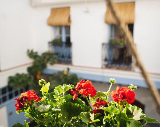 San Francisco-Ribera Apartment | CASA SIRFANTAS