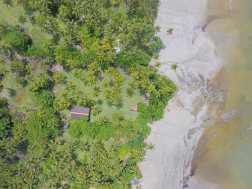 Velha Boipeba Cabin | Casa Tassimirim