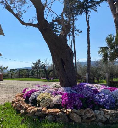 Albanella House | Casa Vacanza Capozzoli