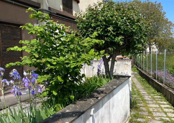 Roccaraso Apartment | Casa Vacanza Regina
