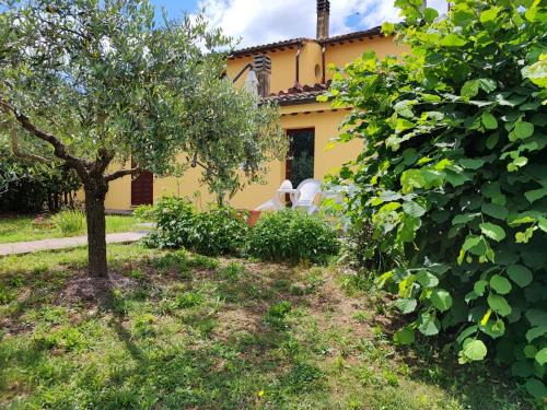 Pietrauta House | Casa Vacanze "Dimora Quercia" - Appartamento "Oliva"
