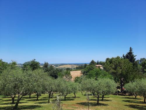Fano House | Casa Vacanze Stefania