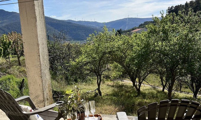 Lamego House | Casa Vicente