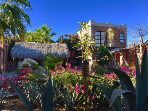 El Centenario Bed & Breakfast | Casa Xochitl