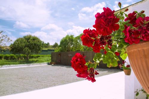 Peniche House | Casal Do Góis Guest House