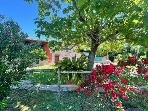 Costano Apartment | CASALE ANTONELLA