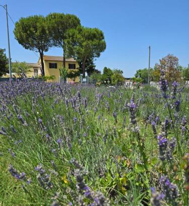 Castelfidardo Bed & Breakfast | CaSAle