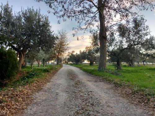 Re di Coppe House | Casale Re di Coppe