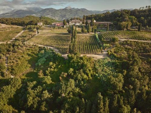 Villabuona House | Casale Toscano a Lucca