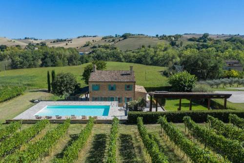 Mogliano Villa | Casale Vigneto