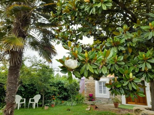 Villapresente Apartment | casamarietacantabria
