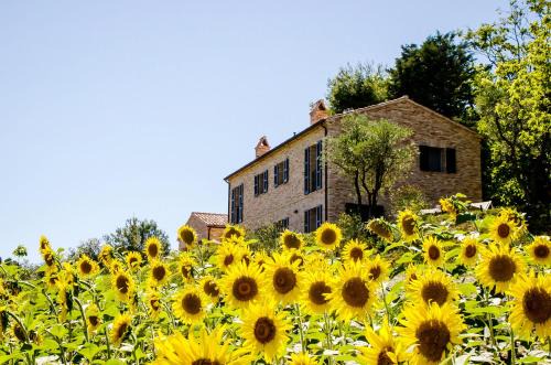 Ostra Vetere Bed & Breakfast | CasaVostra - Ambience Suites