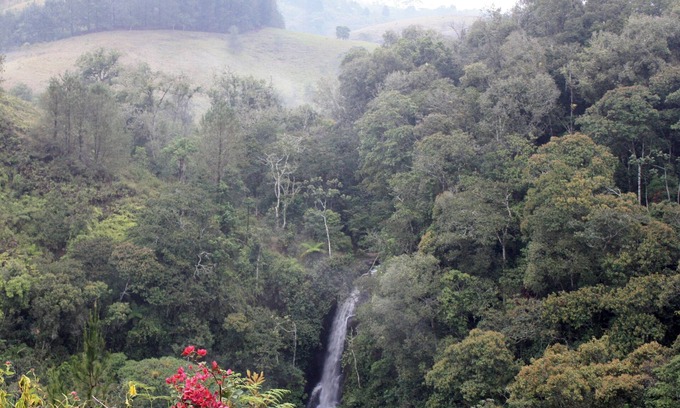 Popayan Hotel | Cascada Cafe Retiro (Waterfall Café Retreat) Colombia Coffee Farm Experience PPN