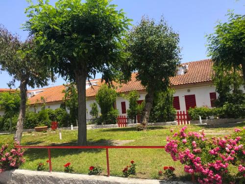 Rossano Apartment | Case Vacanze a Rossano