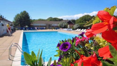 New Forest District House | Casita De Cuervo at Shorefield Park - WIFI - Pet Friendly - Passes Included