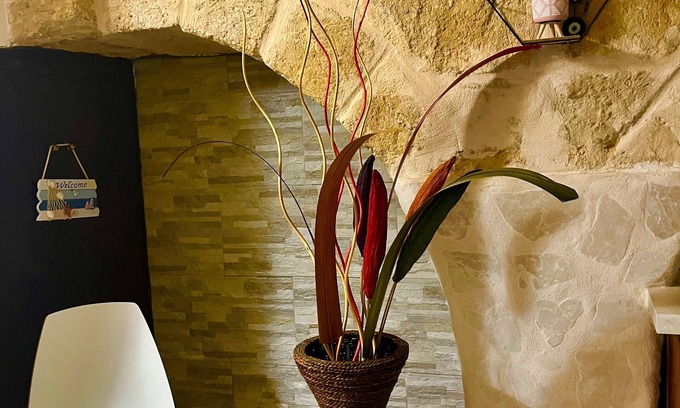 Mola di Bari Apartment | Cattleya apartment. Mola di bari