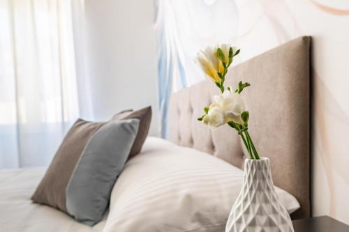 Albano Laziale Apartment | Cavour42