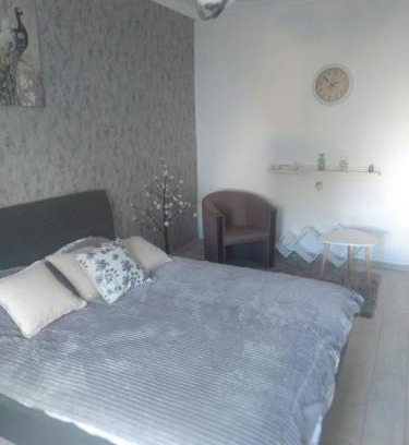 Downtown Apartment | Central