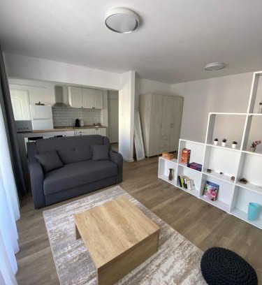 Craiova Apartment | Central Studio Yoko