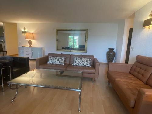 Hoengg Apartment | Centrally located, Spacious Modern Apartment