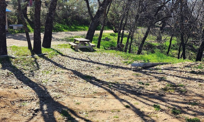 Pinehurst RV Rental | CG24 Lrg Campsite/Shower Kings Canyon/Sequoia NP