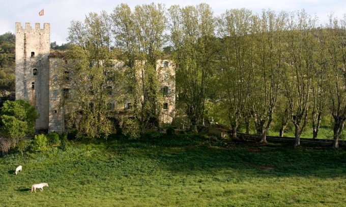 Esparron-de-Verdon Other | Château D'esparron