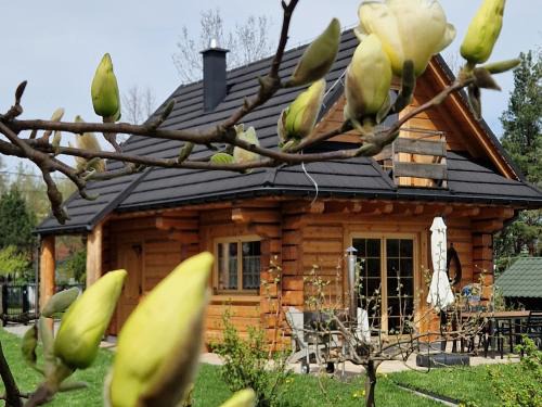 Ustron Ski Chalet | Chabrowa Chatka