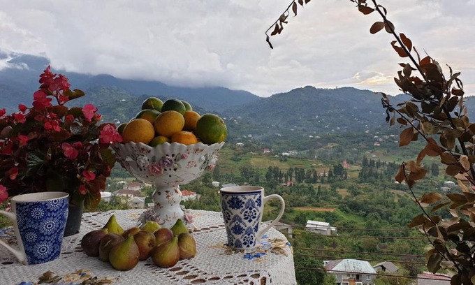 Gorgadzeebi House | Chakvi View Guest House