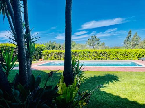 Paco House | Chalé Davim com piscina -Tranquilidade e conforto