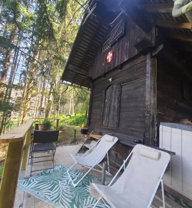 Saint-Martin-sur-la-Chambre Ski Chalet | Chalet savoyard "le Sapinet"