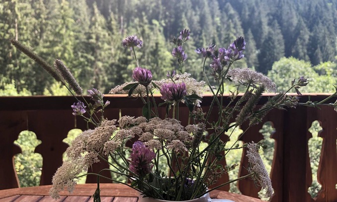Champery Apartment | Chalet apartment with balcony and mountain view - three bedrooms, two bathrooms
