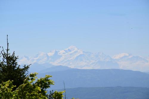 Arzier Apartment | Chalet Calin - Business & Familles