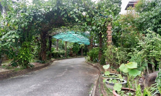 Hat Yai Hotel | Chalet De Palm Resort Hatyai